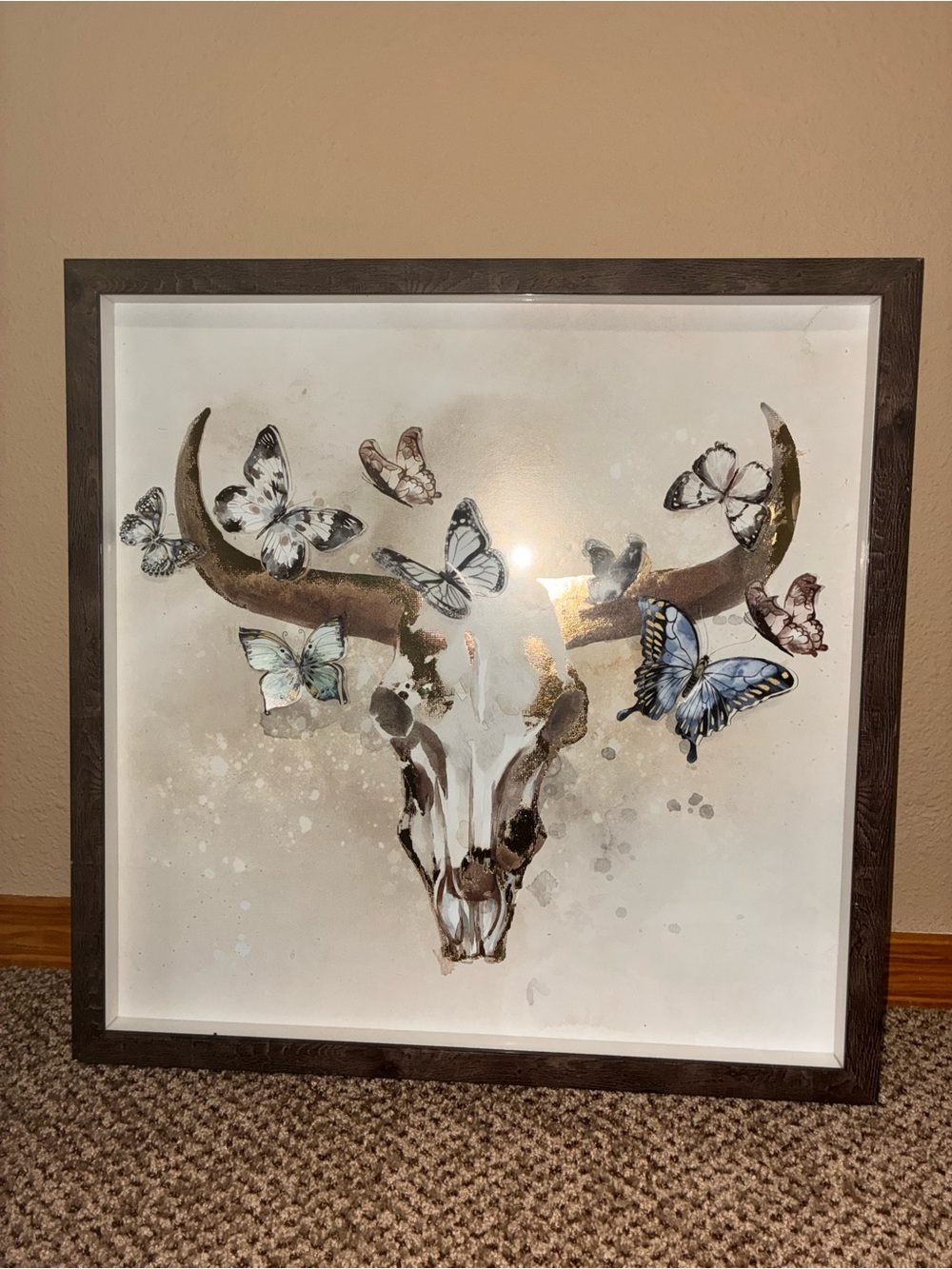 Framed Cattle Skull & 3D Butterfly Wall Art - Glass protected 19.75 x 19.75 in.